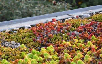 the cost of Ffos Y Ffin green roof installation