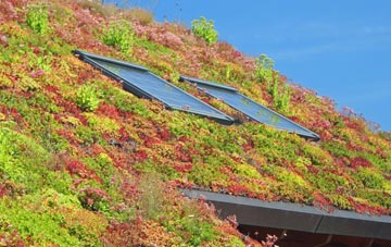 Ffos Y Ffin living roof systems