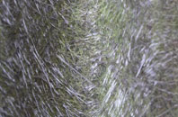 Ffos Y Ffin fibreglass roof work